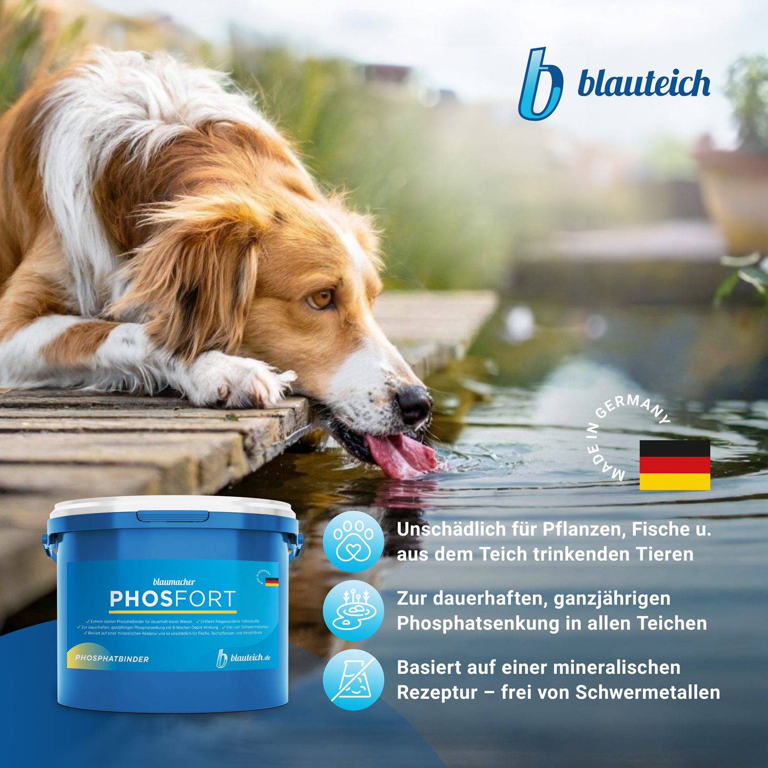 blaumacher PHOSFORT Phosphatbinder