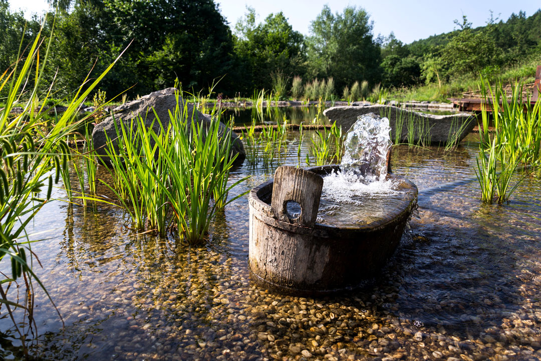 Brunnen am Teich in der Flachwasserzone - teichschlammsauger.de