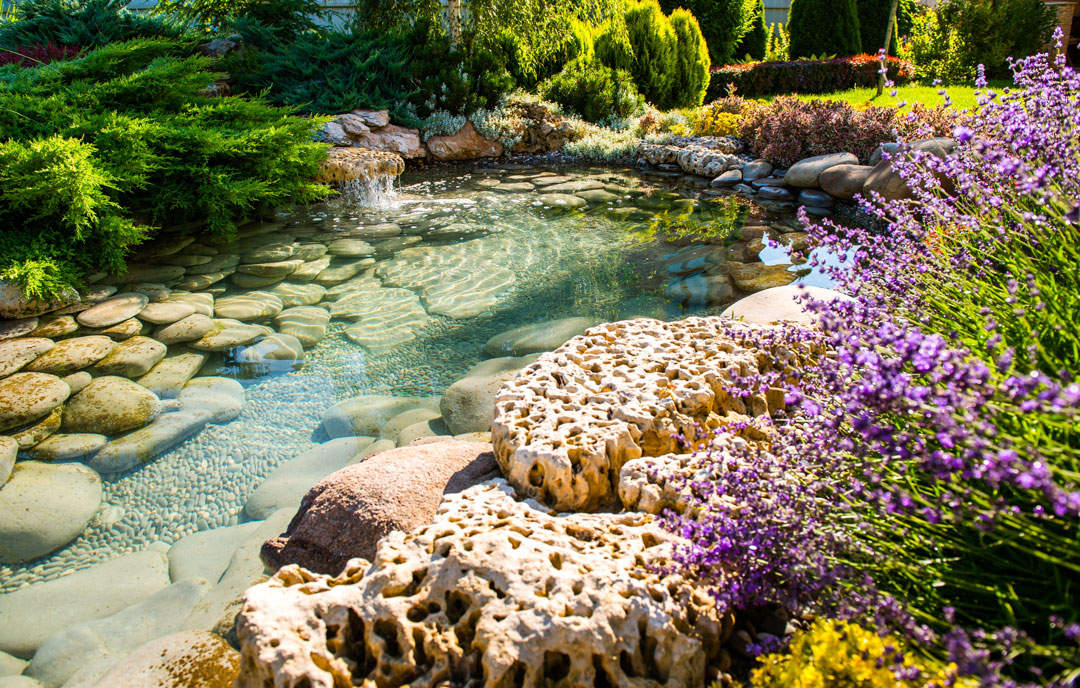 Klarer Teich im Garten mit Wasserfall - teichschlammsauger.de